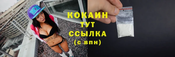 мескалин Заводоуковск