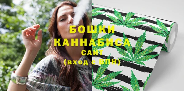 мескалин Заводоуковск