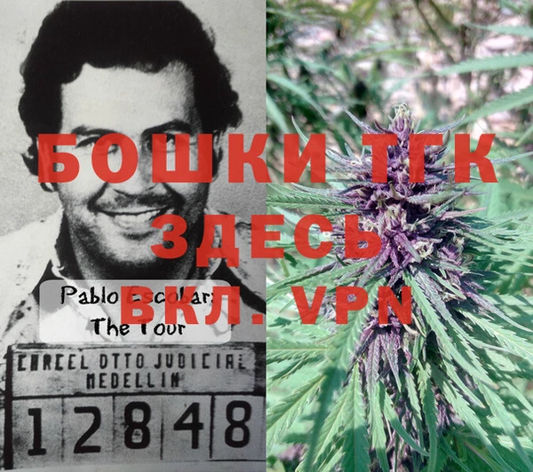 спиды Заволжск